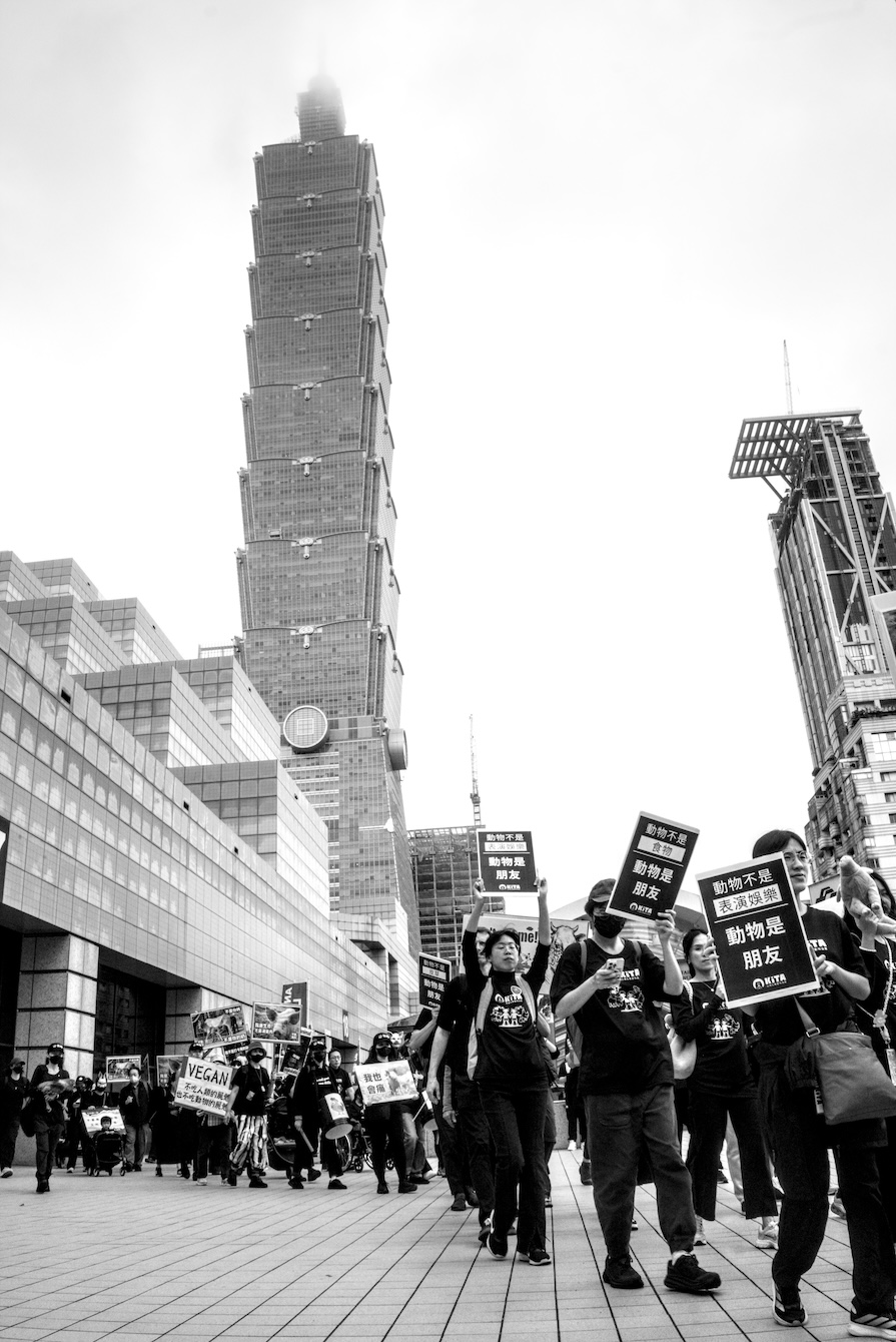 Thoughts on an Animal Rights March